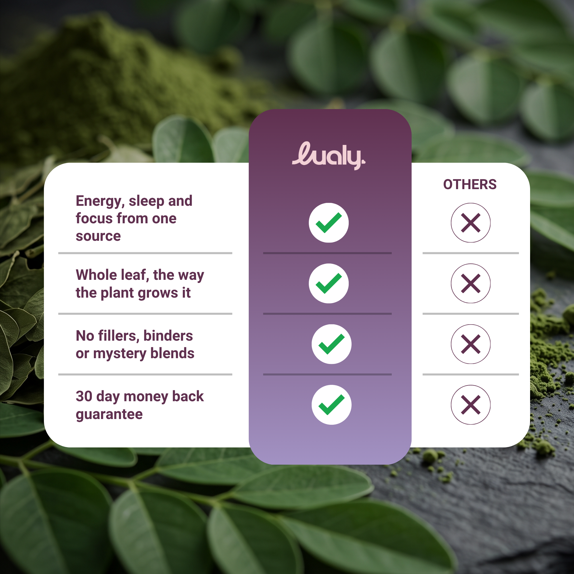 Moringa Oleifera Leaf Capsules for Energy & Focus