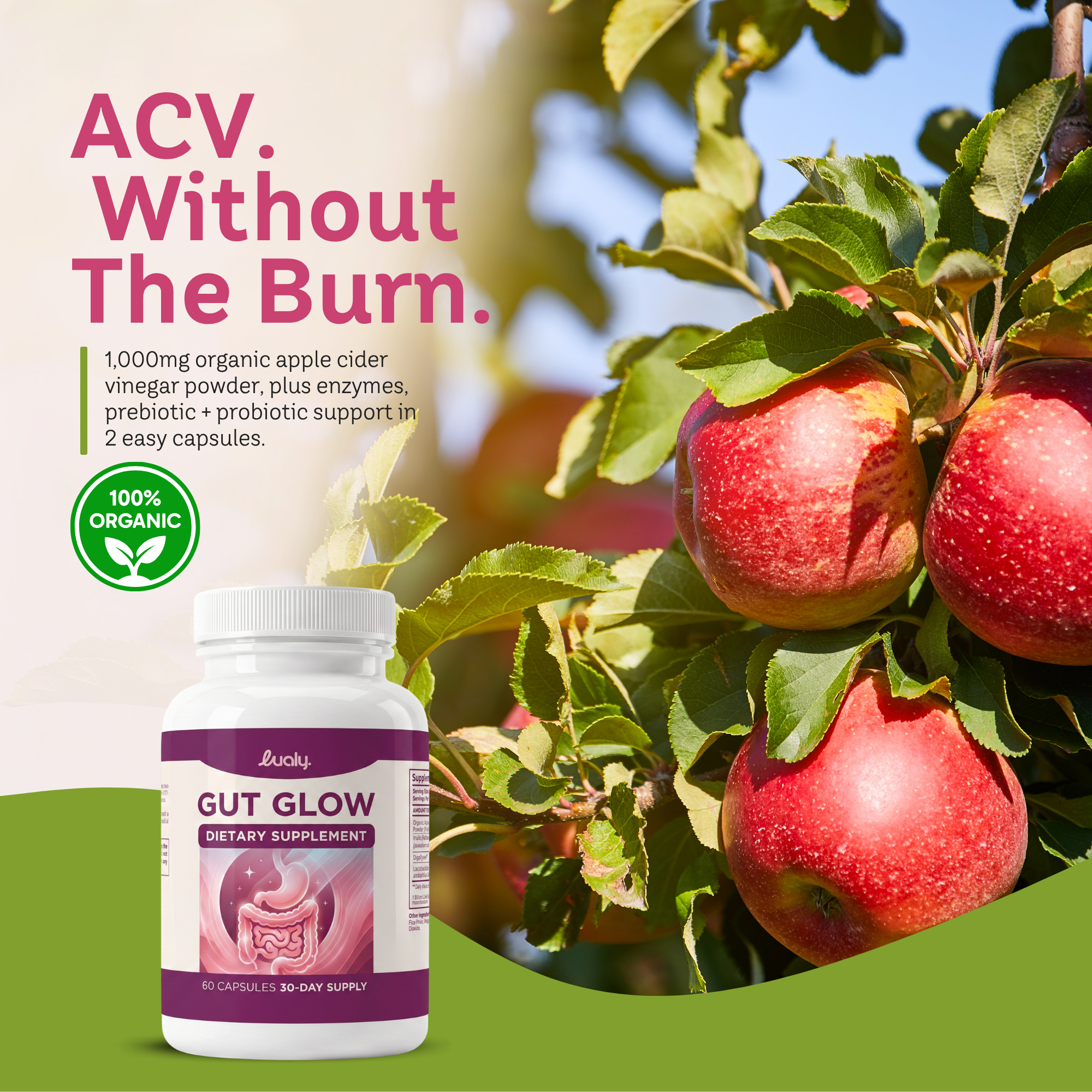 Gut Glow — Digestive Enzymes + Probiotic for Bloating & Gut Health