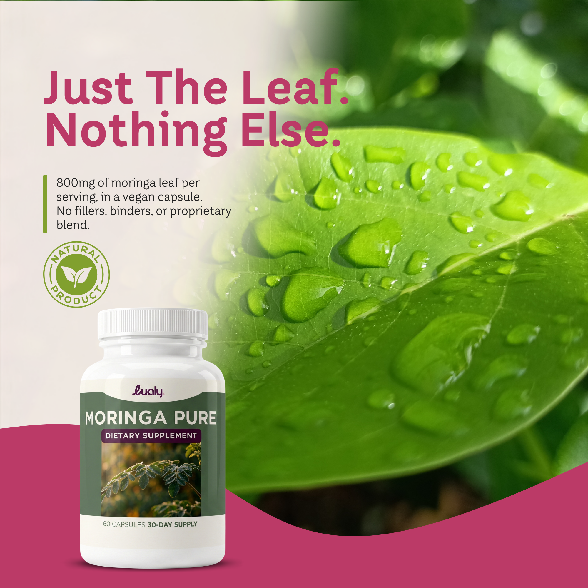 Moringa Oleifera Leaf Capsules for Energy & Focus