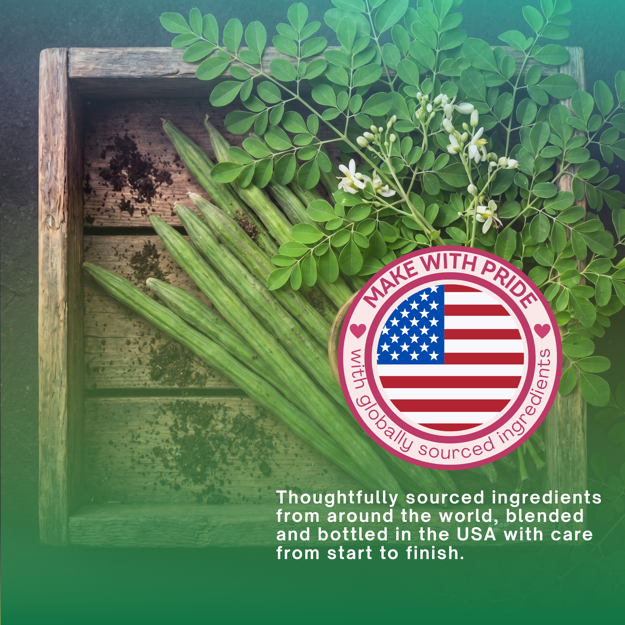 Moringa Oleifera Leaf Capsules for Energy & Focus