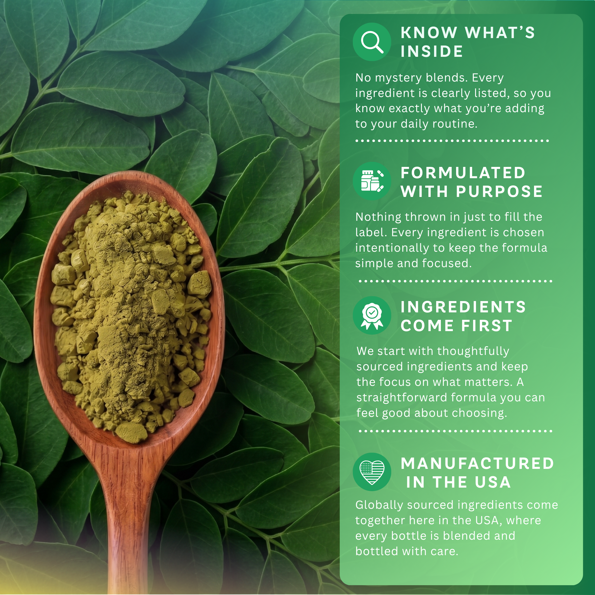 Moringa Oleifera Leaf Capsules for Energy & Focus
